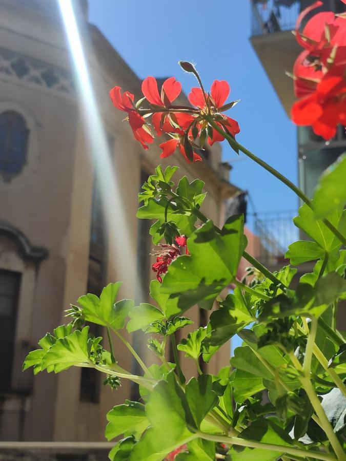 Casta Diva * Catania
